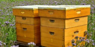 Las seis noticias agrarias de la semana – 02/11/2018