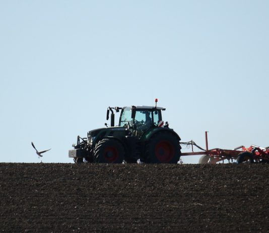 Las seis noticias agrarias de la semana – 16/11/2018