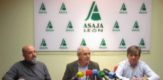 Asaja critica la bajada en el precio de la remolacha y vaticina una importante reducción en las siembras para el próximo año