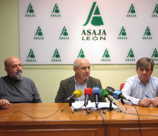 Asaja critica la bajada en el precio de la remolacha y vaticina una importante reducción en las siembras para el próximo año