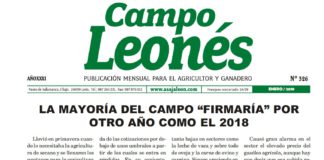 Campo Leonés enero de 2019