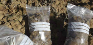 Servicio gratuito de la Diputación de análisis de tierra