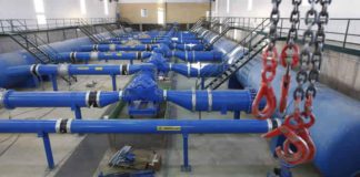 Las seis noticias agrarias de la semana – 15/02/2019