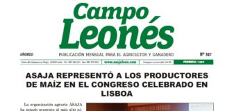 Campo Leonés febrero de 2019