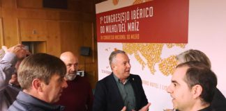 Asaja pide medidas de ámbito político y económico para propiciar el avance del cultivo del maíz, principal alternativa para el regadío