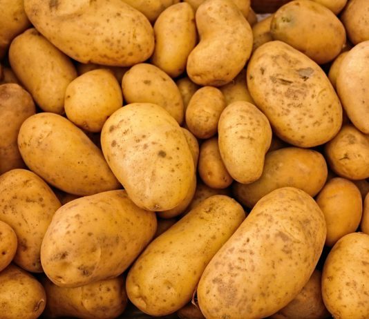 Las seis noticias agrarias de la semana – 09/08/2019