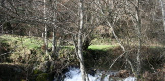 Asaja pide máxima flexibilidad en el control de gasto de agua en los prados de cursos medios y altos de los ríos Leoneses