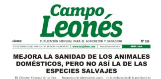 Campo Leonés abril de 2019