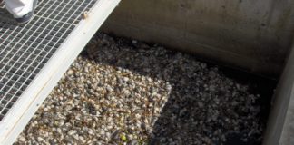 Asaja pide coordinación entre Sacyl y Seguridad Social para que los casos de tularemia del sector se declaren como enfermedad profesional