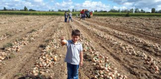 Las seis noticias agrarias de la semana – 07/10/2022