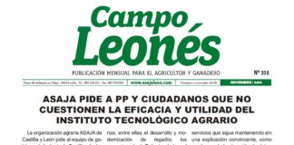 Campo Leonés noviembre de 2019
