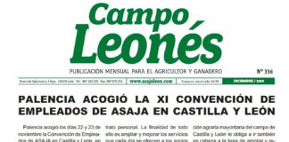 Campo Leonés diciembre 2019