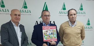 2019: producciones muy desiguales, desgobierno político y un sector ‘solo ante el peligro’