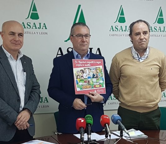 2019: producciones muy desiguales, desgobierno político y un sector ‘solo ante el peligro’