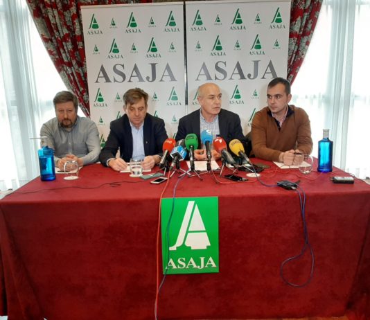 Evolución del sector agroganadero Leonés en el año 2019