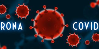 Informe COPA sobre efectos del Covid-19