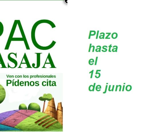 La campaña de la Pac ha sido especialmente compleja por los problemas de movilidad y las incidencias de la plataforma informática