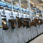 Cotizaciones de la Lonja Agropecuaria de León – Sesión 22/04/2020