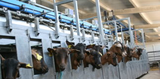 Cotizaciones de la Lonja Agropecuaria de León – Sesión 22/04/2020