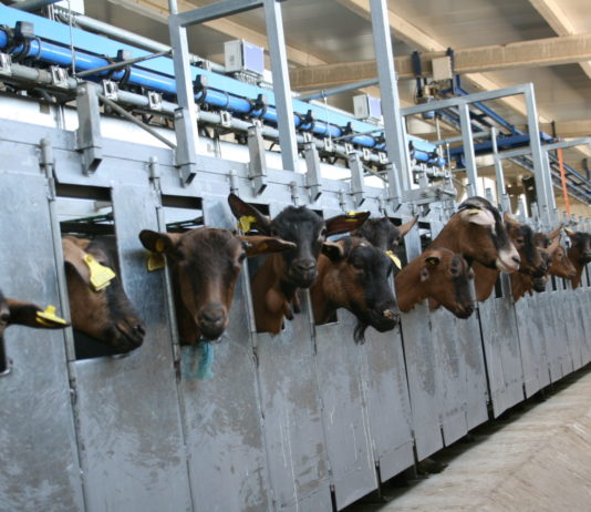 Cotizaciones de la Lonja Agropecuaria de León – Sesión 22/04/2020