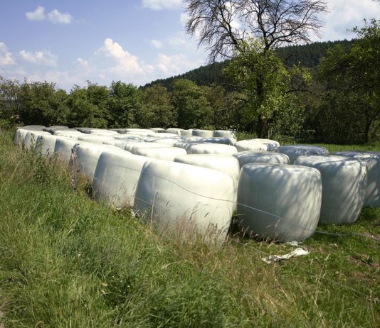 Asaja pide a la Diputación que se haga cargo del coste de la retirada de los plásticos que se generan en explotaciones ganaderas