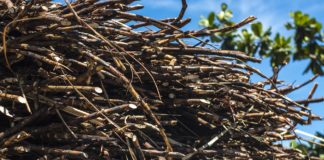 Las seis noticias agrarias de la semana – 08/05/2020