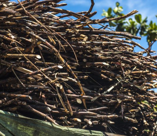 Las seis noticias agrarias de la semana – 08/05/2020