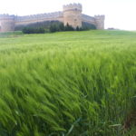 cir_seguro_mayo_2021