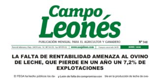 Campo Leonés junio de 2020