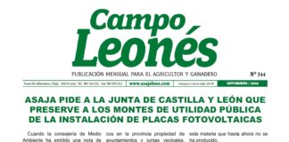 Campo Leonés septiembre 2020