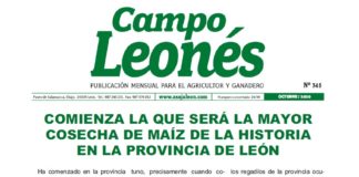 Campo Leonés octubre 2020