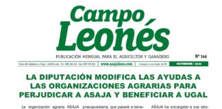 Campo Leonés noviembre 2020