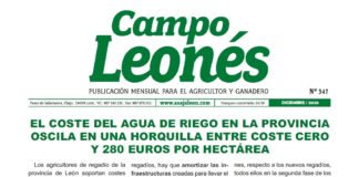 Campo Leonés diciembre 2020