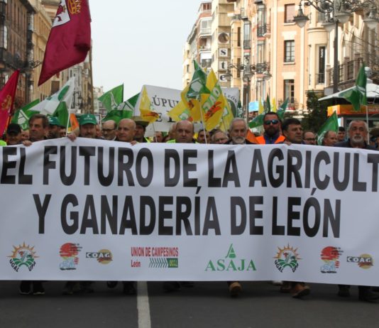 Las seis noticias agrarias de la semana – 15/01/2021