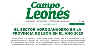 Campo Leonés enero 2021