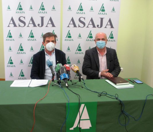 El sector agroganadero en la provincia de León en el año 2020