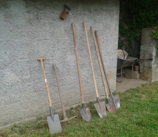 Ayudas a los jóvenes del medio rural para acceso a la vivienda