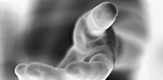 Ayudar a quién fracasa