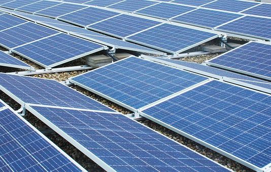 Asaja denuncia que los macroparques fotovoltaicos de Cubillos del Sil y Cabañas Raras arrasan con tierras agrícolas y forestales