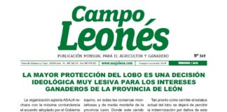Campo Leonés febrero 2021