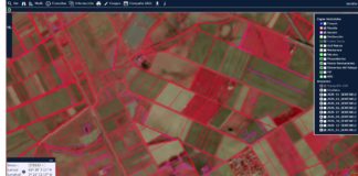 La Consejería de Agricultura monitorizará la totalidad de la superficie por la que se soliciten ayudas Pac en 2021