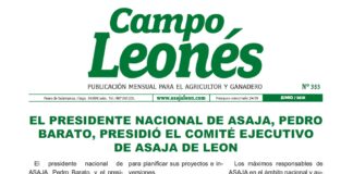 Campo Leonés junio 2021