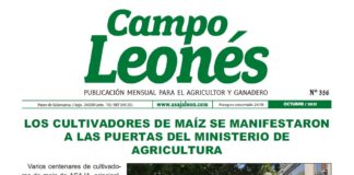 Campo Leonés octubre 2021