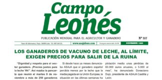 Campo Leonés noviembre 2021