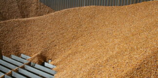 Cotizaciones de la Lonja Agropecuaria de León – sesión 05/01/2022