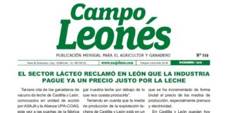 Campo Leonés diciembre de 2021