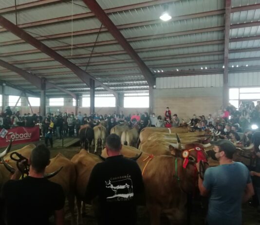 Aclaraciones ante la polémica suscitada por la crítica que hizo Asaja al Presidente de la Diputación de León