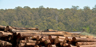 Las seis noticias agrarias de la semana – 05/08/2022