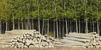 Las seis noticias agrarias – 25/03/2022