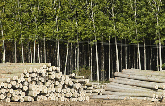 Las seis noticias agrarias – 25/03/2022